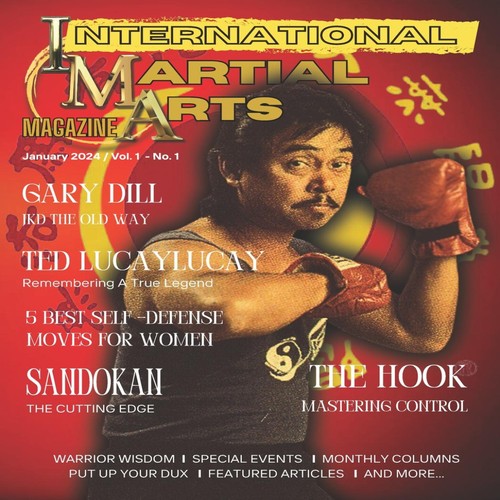 International martial arts - international,