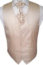 Hochzeitsweste mit Plastron