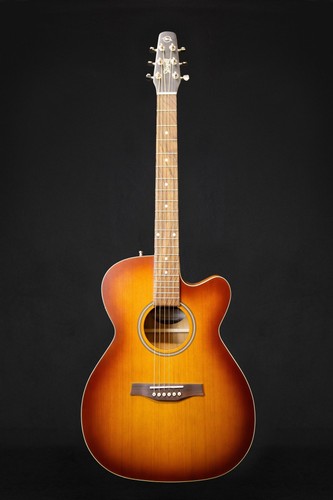 Seagull entourage rustic - seagull, burst