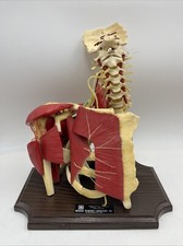 Vintage Medical Plastics