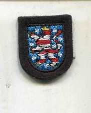 Feuerwehr Abzeichen Thüringen