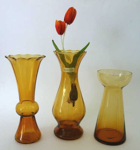 Hyazinthenglas glas vase - 3x,