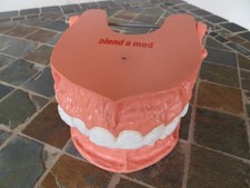 Lehrgebiss Blend a Med Zahnmodell Riesengebiss Modellzähne