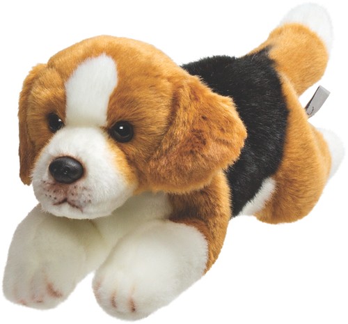 Suki 12088 beagle hund - suki,