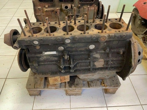 Austin healey 100 motor - austin, 100/6