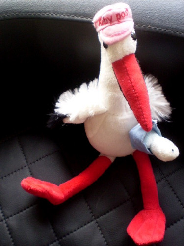 Storch klapperstorch baby - klapperstorch,