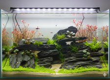 Aquarium Steine 7 KG Schieferplatten 7-20 cm Aquascaping Deko Malawi Barsche