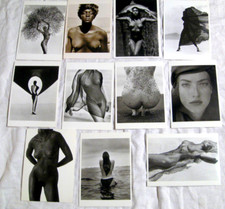HERB RITTS - 11 x Postkarte FRAUENakte Erotik Gay Schwule Kunstkarten
