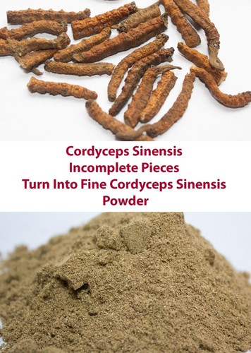 Wild cordyceps - wild,