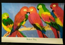  Papageien - Perroquets von