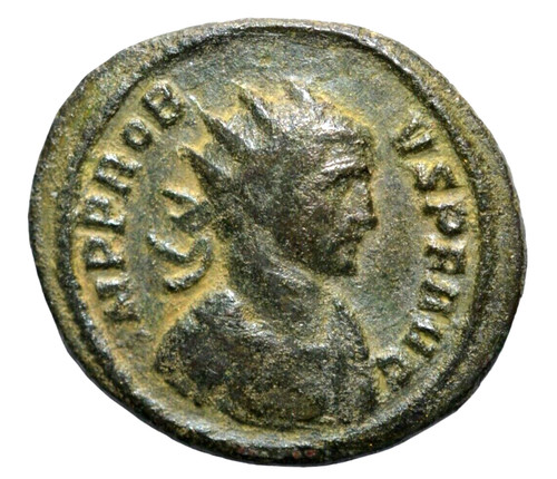 Probus 276 282 bronze - probus,,
