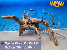 👋XXL Moorkien - Spiderwood
