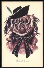 Ansichtskarte Pekinese mit