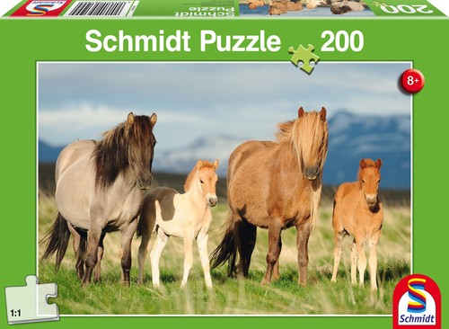 200 teile schmidt - teile, spiele