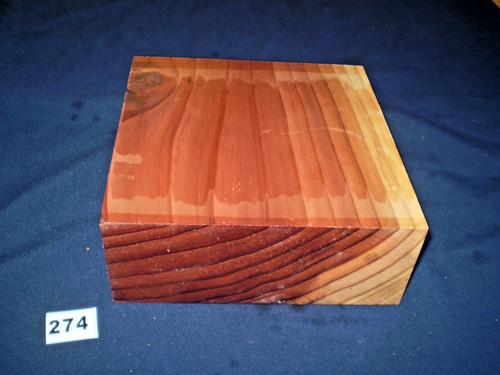 Redwood mammutbaum - redwood,