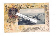 AK Uelzen, Wappenprägekarte mit Ortsansicht, 1901