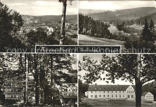 Wiesenbad ortsansicht panorama - wiesenbad,