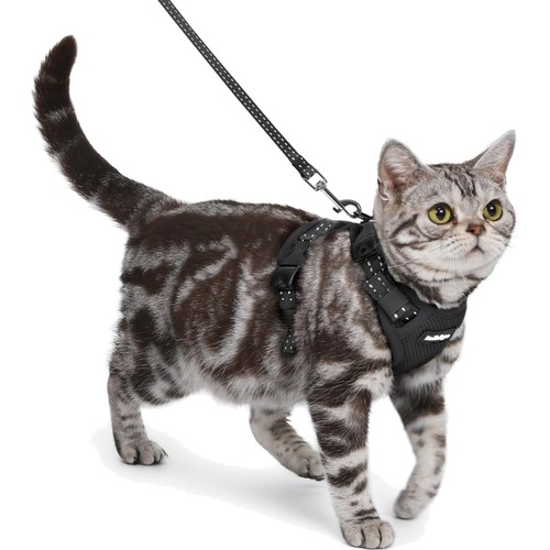 Katzengeschirr katze - katzengeschirr,
