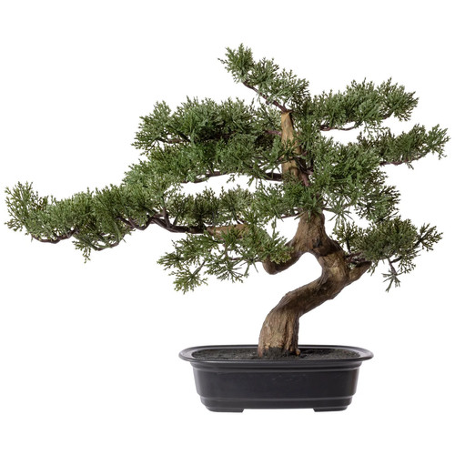 Künstlicher zeder bonsai - künstlicher,