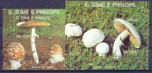 Pilze mushrooms sao - -,