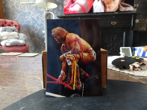 The ultimate warrior - the, ++