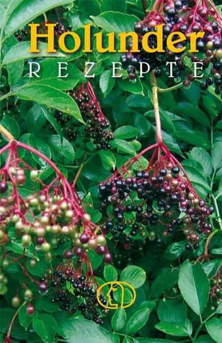 Holunderrezepte kochbuch - holunderrezepte,