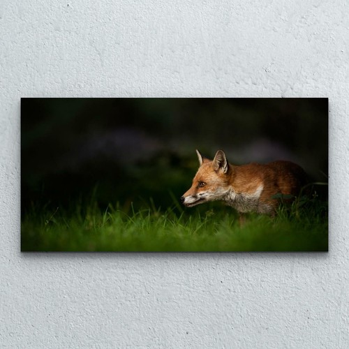 Glasbilder wandbild druck auf - glasbilder,