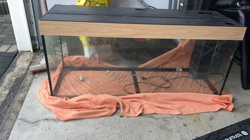 Aquarium 240 liter - aquarium,