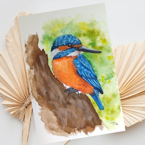 Originales eisvogel - originales,