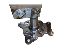 Achsschenkelbolzen Citroen