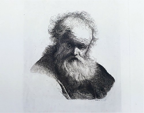 Radierung rembrandt portrait - rembrandt,,
