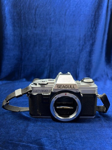 Vintage seagull 300 - vintage, analoge