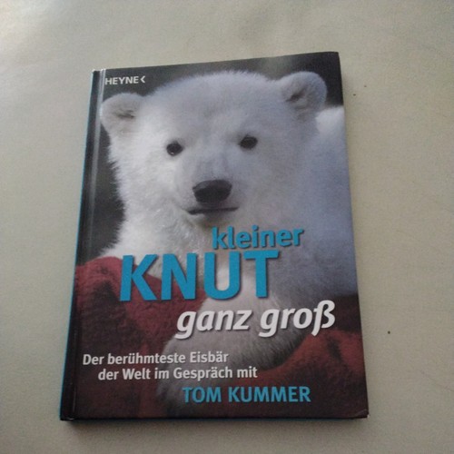 Kleiner knut ganz groß - kleiner, der