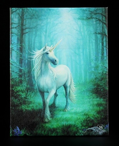 Kleine leinwand forest - kleine,