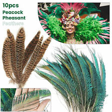 Natürlich Fasan Rücken Pfau