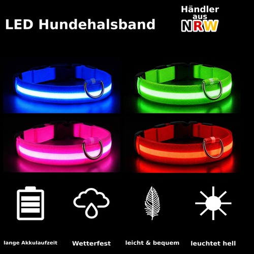 Led hundehalsband usb - hundehalsband,