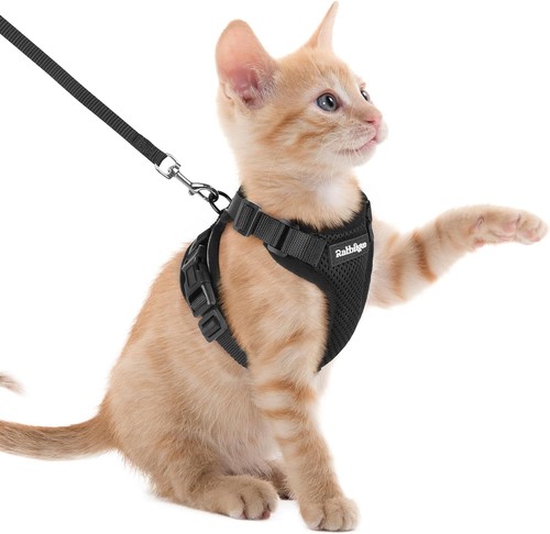 Katzengeschirr mit leine - mit,