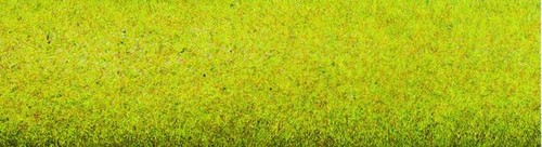 Noch sommerwiesen grasmatte - noch, sommerwiesen-grasmatte