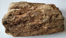 Verkieseltes Holz aus Lhota u