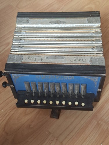 Vintage vizekönig akkordeon - vintage,