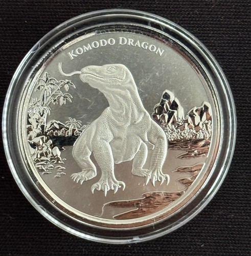 Silber münze komodo - silber,