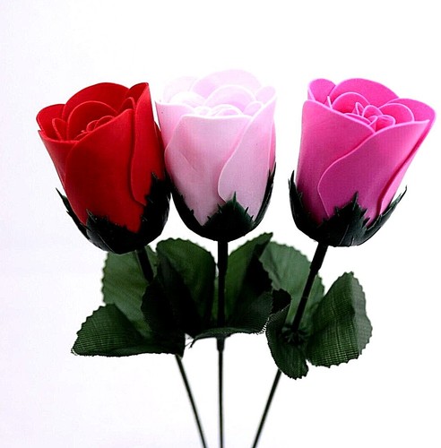 Rose seife rosen - in, optik