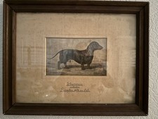 Gemälde Dackel Ehrenpreis von