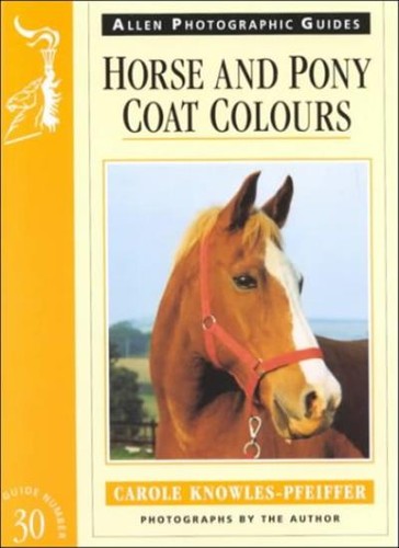 Horse and pony - horse,