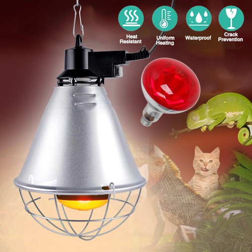 E27 rotlichtlampe wärmelampe - rotlichtlampe,