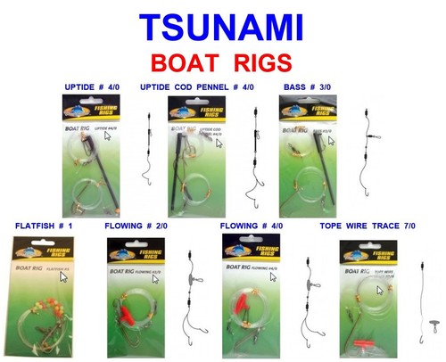 Tsunami boat rig - boat,