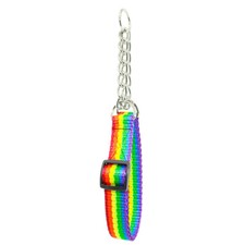 Zughalsband Regenbogen Hunde