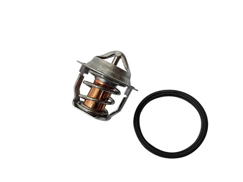 Thermostat passt für - thermostat,
