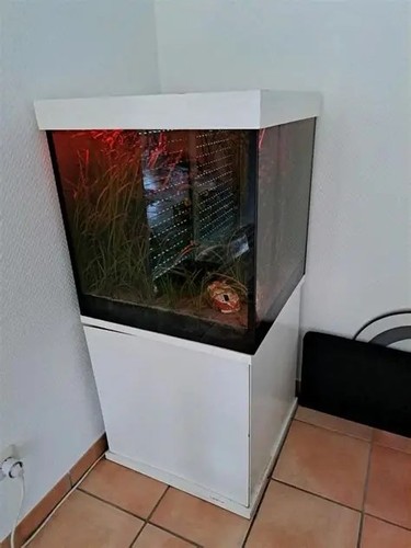 Aquarium mit pumpen - aquarium,