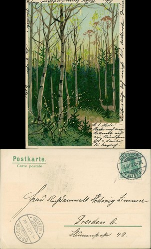 Partie birkenwald - im,